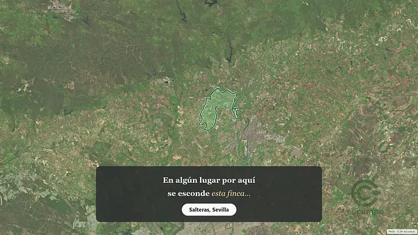 Spot image