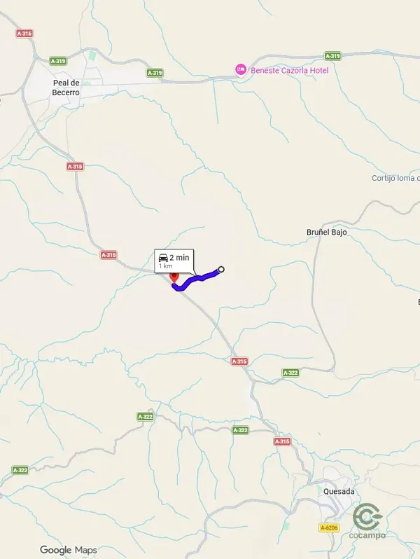 Spot image