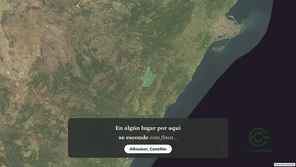 Spot image