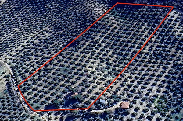 Spot image