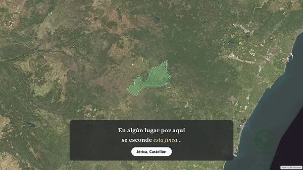 Spot image