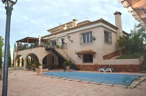 Spot image