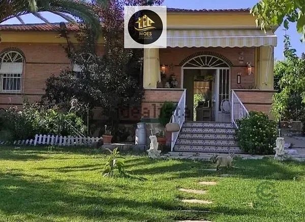 Spot image