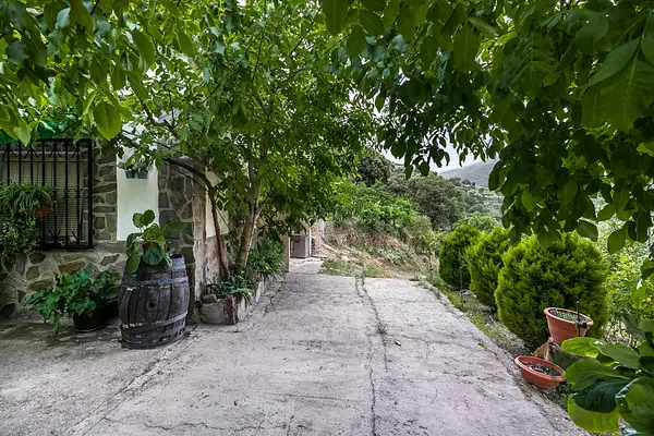 Spot image