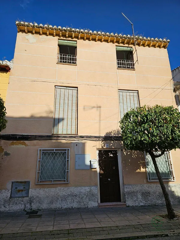 Spot image