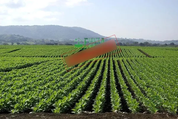 Finca agrícola de 30 ha en venta en Torrejoncillo, Caceres