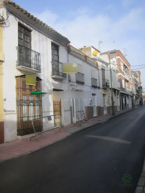 Spot image