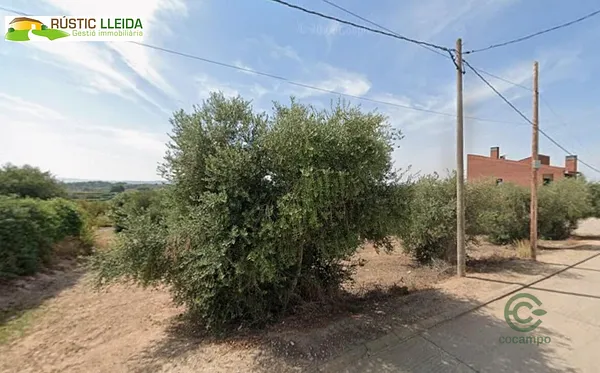 Spot image