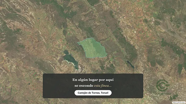 Spot image