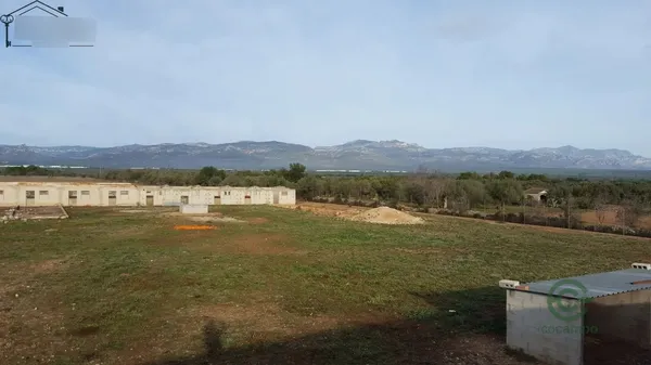 Spot image