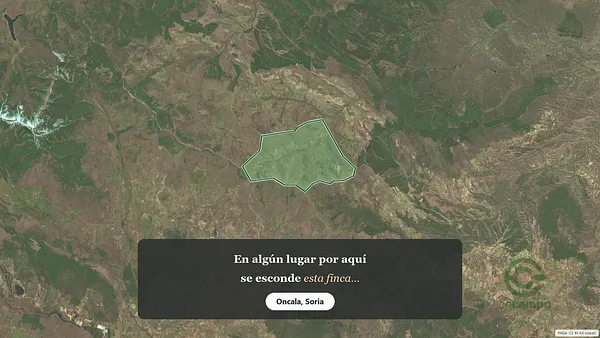 Spot image