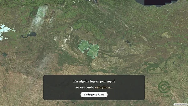 Spot image