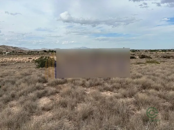 Spot image