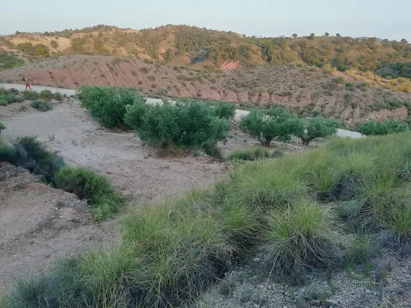 Finca rústica de 3,76 ha en venta en Abanilla, Murcia