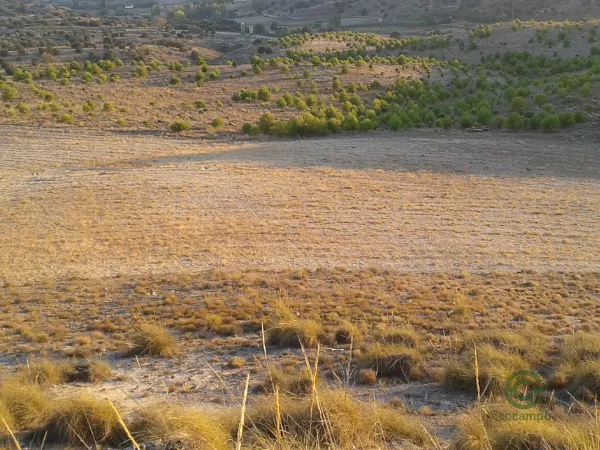 Finca rústica de 60 ha en venta en Madrid