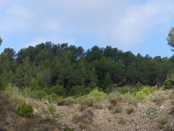 Finca rústica de 3,68 ha en venta en Vilanova d'Escornalbou, Tarragona