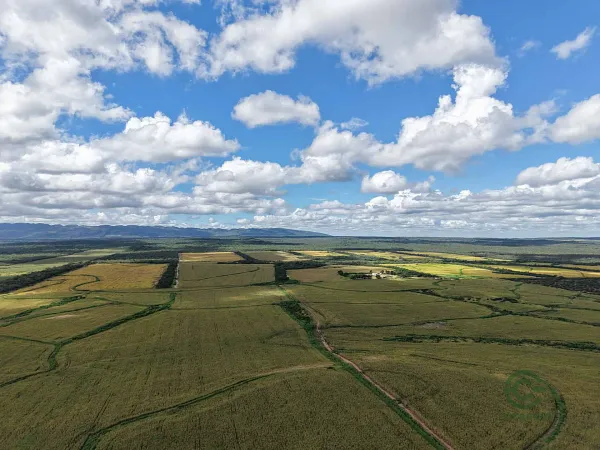Finca agrícola de 906 ha en venta en Salta