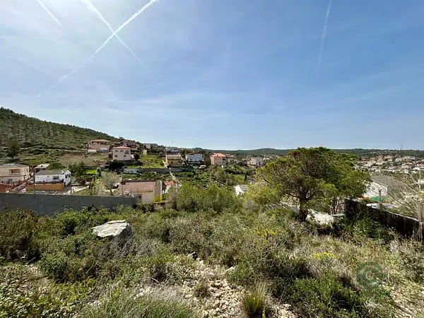 Spot image