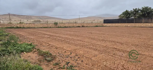 Finca agrícola de 9,65 ha en venta en Las palmas
