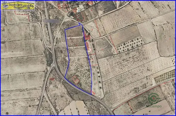 Spot image
