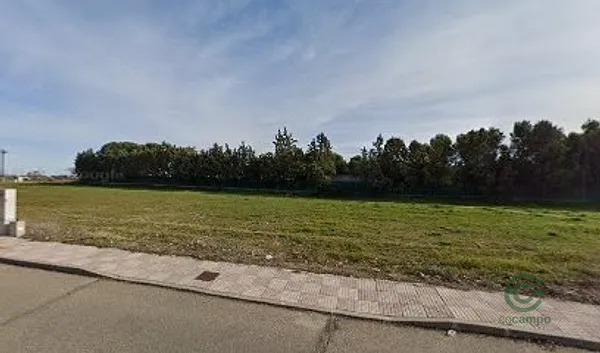 Spot image