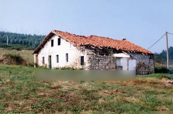 Spot image