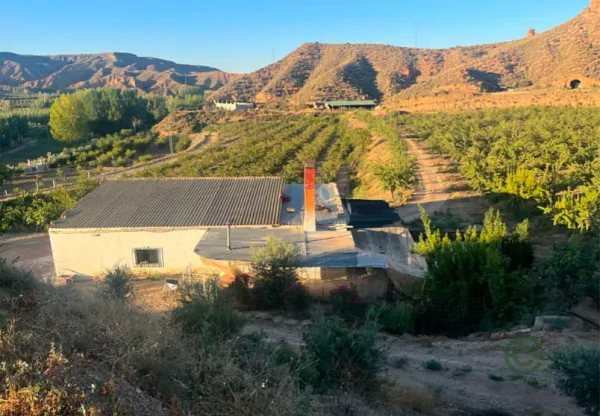 Spot image