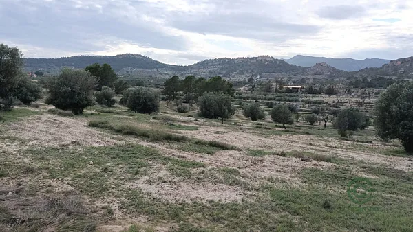 Spot image