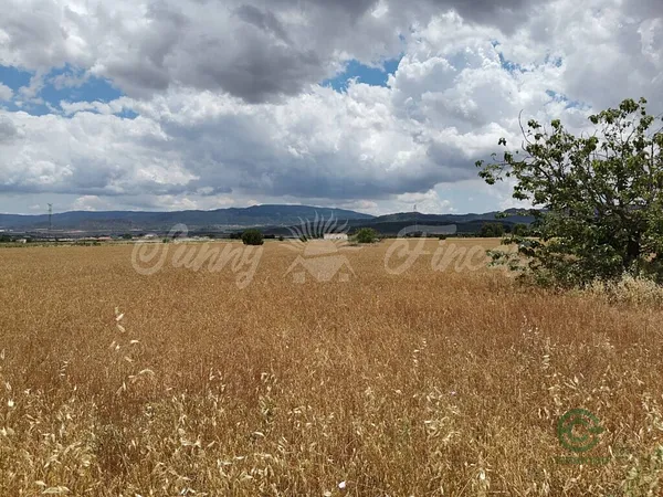 Spot image