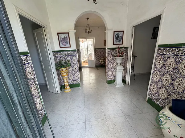 Spot image