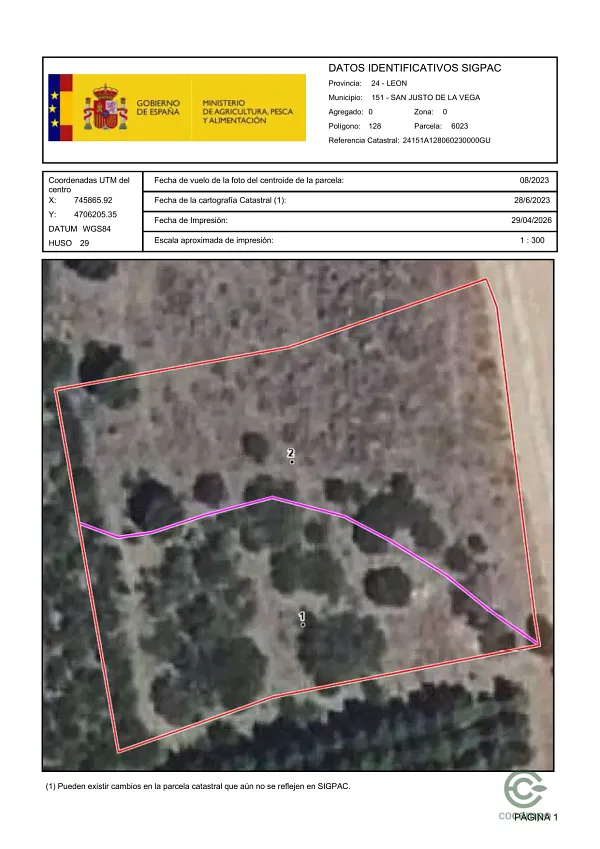 Spot image