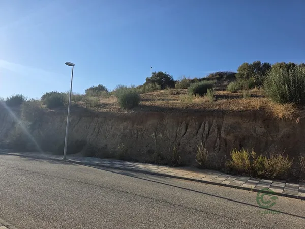 Spot image