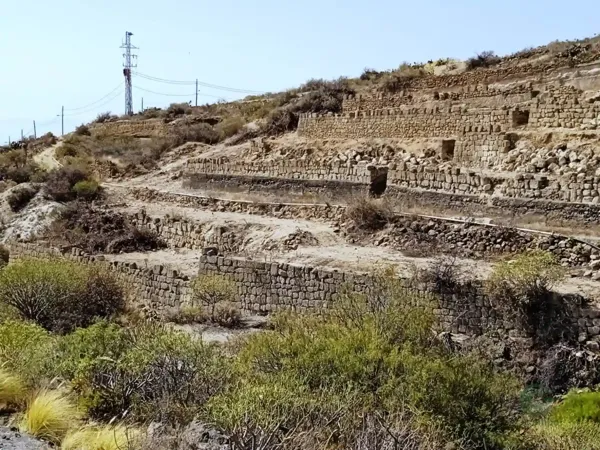 Spot image
