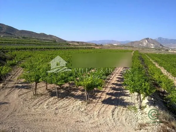 Finca agrícola de 3,4 ha en venta en Novelda, Alicante