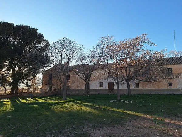 Spot image
