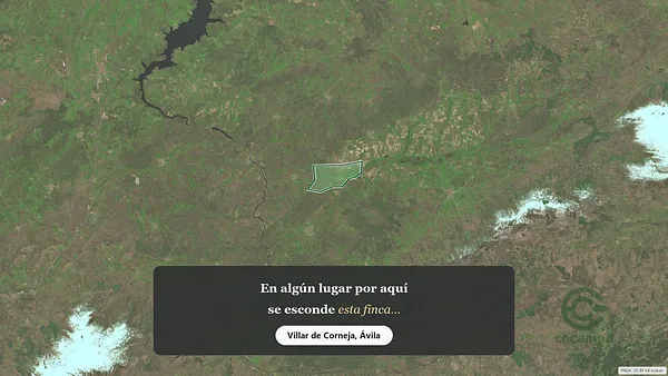Spot image