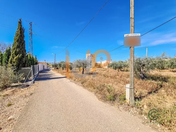 Spot image