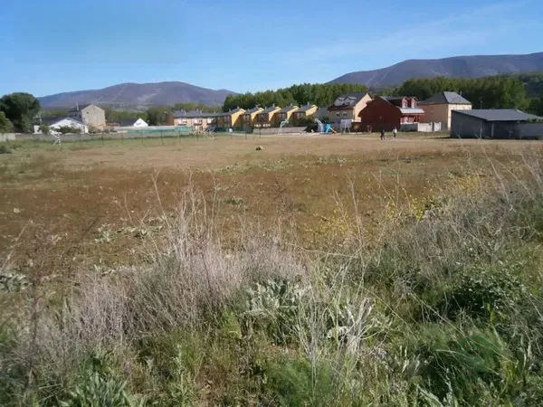 Spot image
