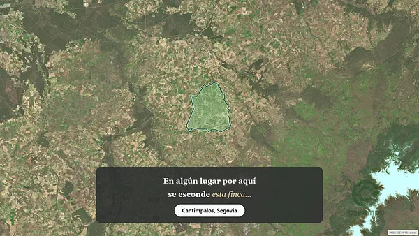 Spot image