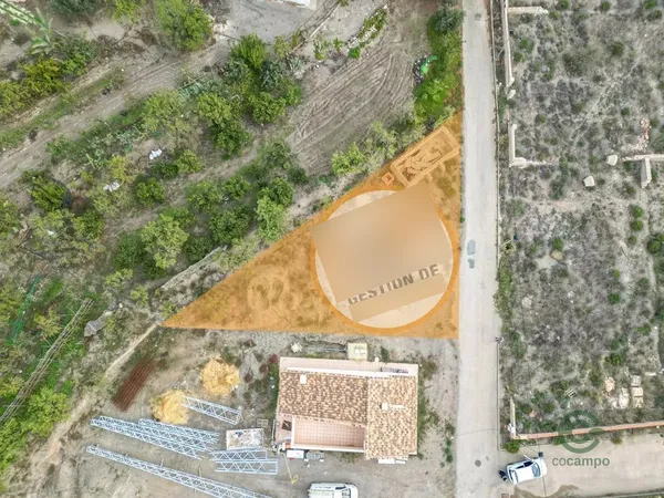 Spot image