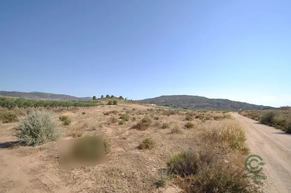 Spot image