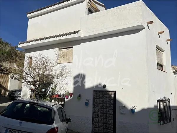 Spot image