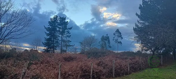 Finca rústica de 1,4 ha en venta en Llanera, Asturias