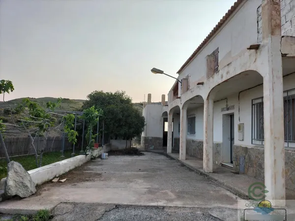 Spot image