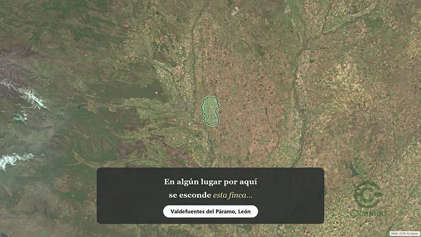 Spot image