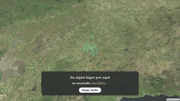 Spot image