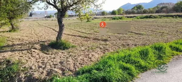 Spot image