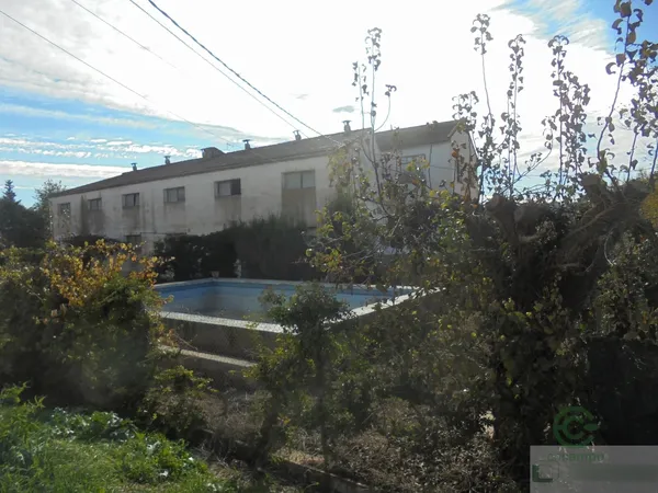 Spot image