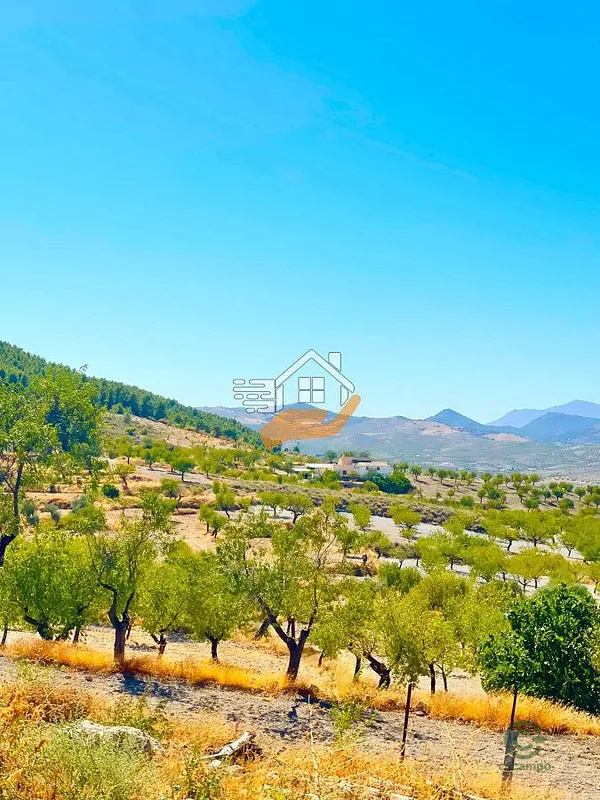 Spot image