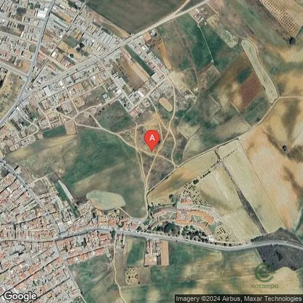 Spot image